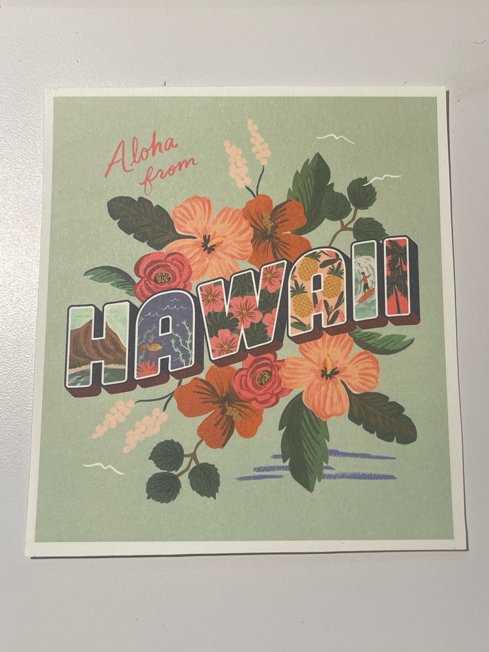 Rifle Paper Co. Hawaii Floral Art Print - Green, Orange, Pink